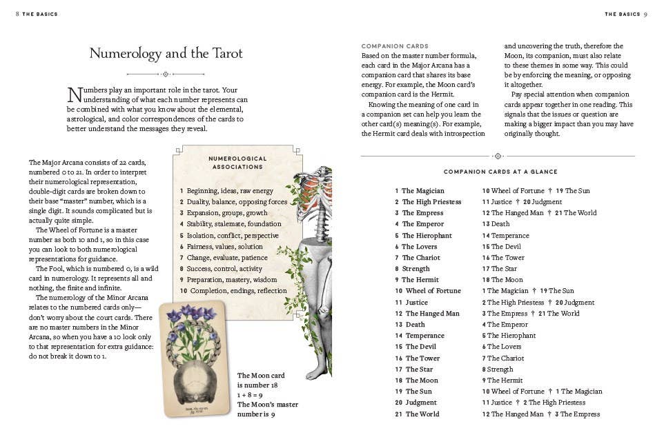 Antique Anatomy Tarot Kit - Angel's House of Design Co.