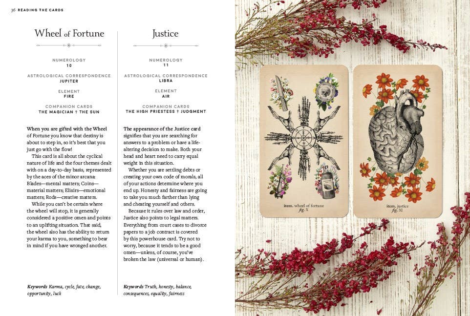 Antique Anatomy Tarot Kit - Angel's House of Design Co.