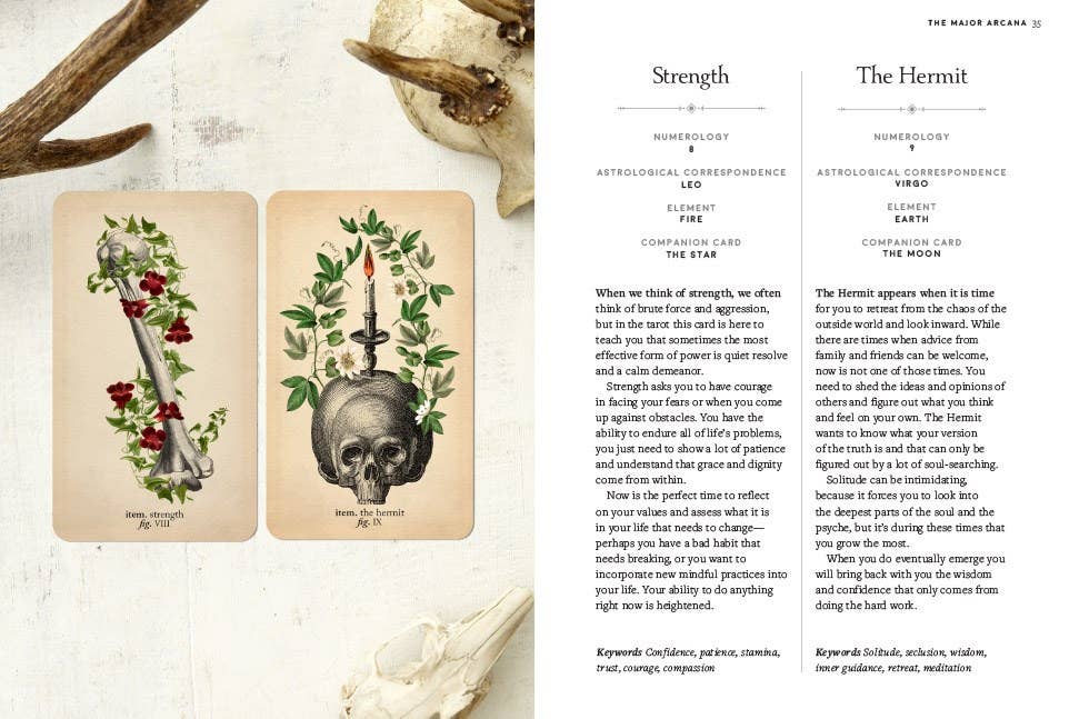Antique Anatomy Tarot Kit - Angel's House of Design Co.