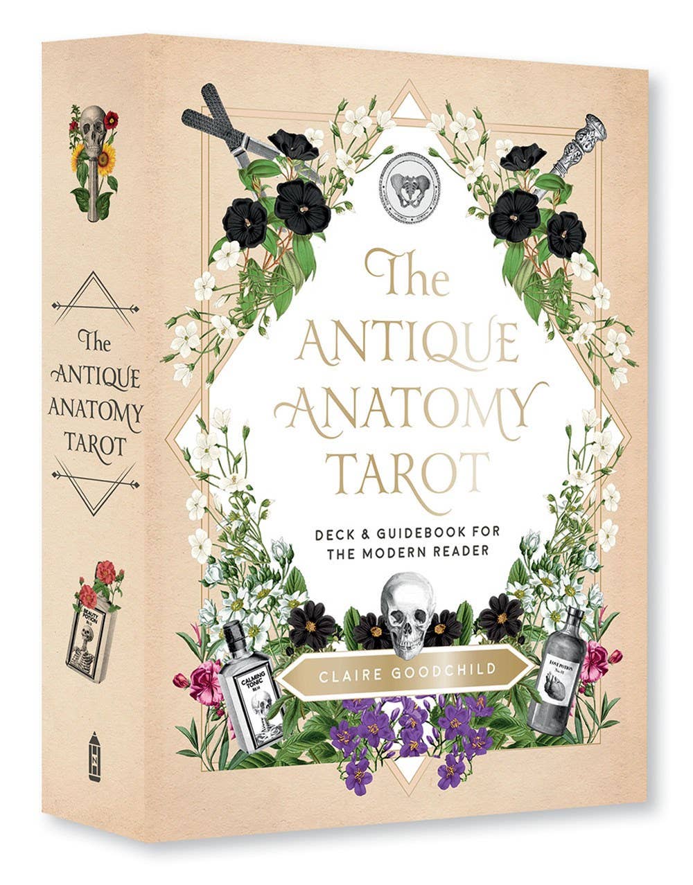 Antique Anatomy Tarot Kit - Angel's House of Design Co.