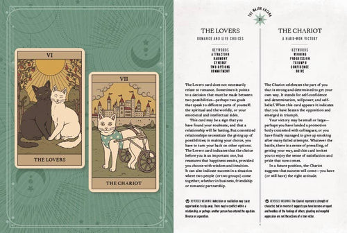 Cats Rule the Earth Tarot - Angel's House of Design Co.