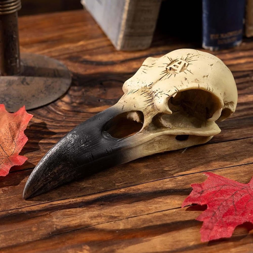 Corvus Alchemia Skull - Angel's House of Design Co.