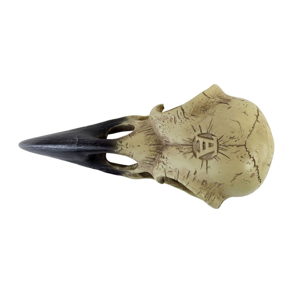 Corvus Alchemia Skull - Angel's House of Design Co.