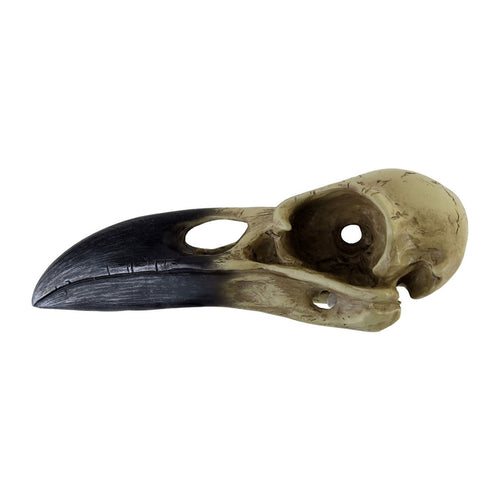 Corvus Alchemia Skull - Angel's House of Design Co.