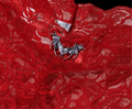 Demonic Red Panties - Angel's House of Design Co.