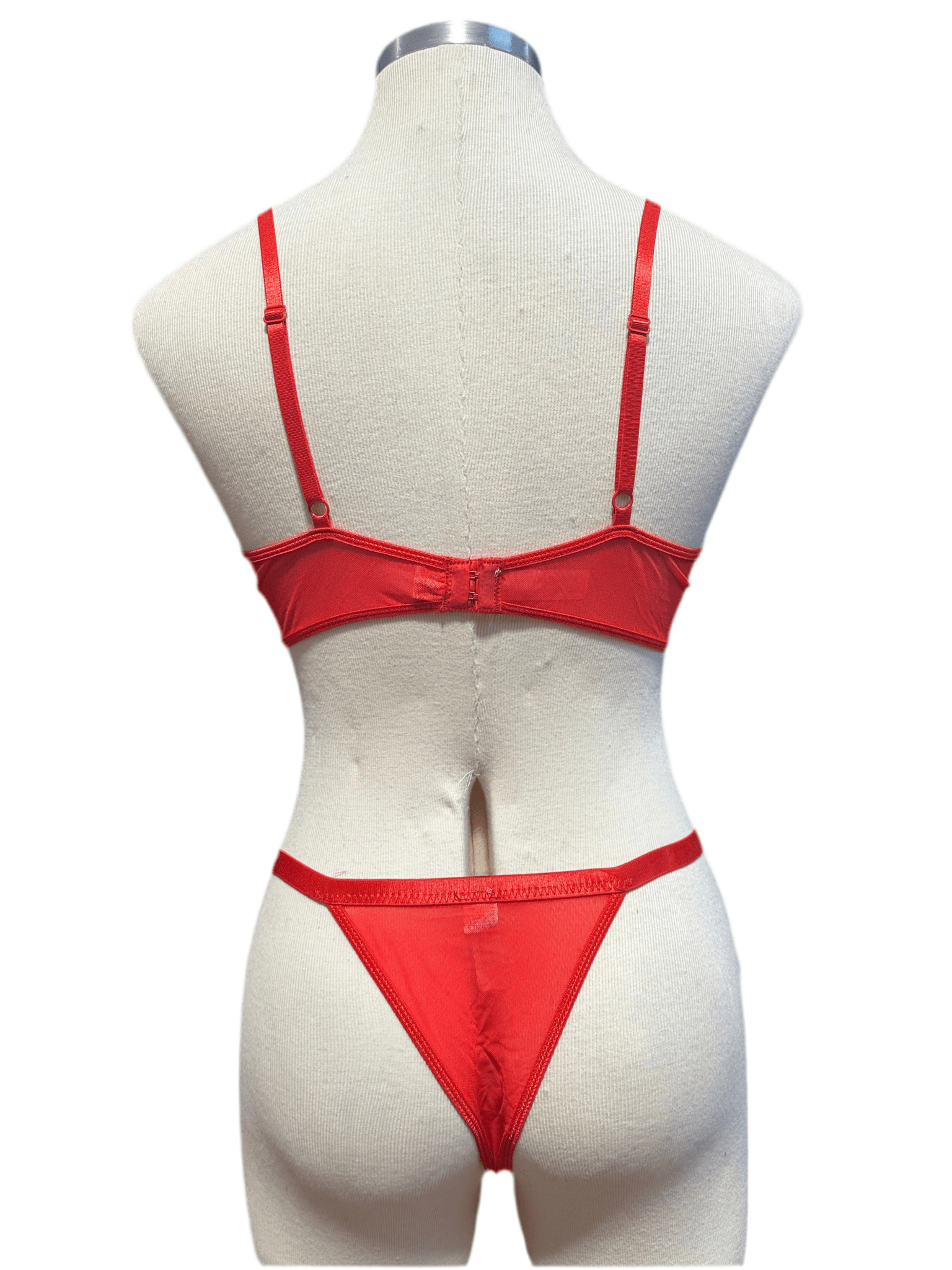Divine Temptation Bra and Panty Set - Angel's House of Design Co.