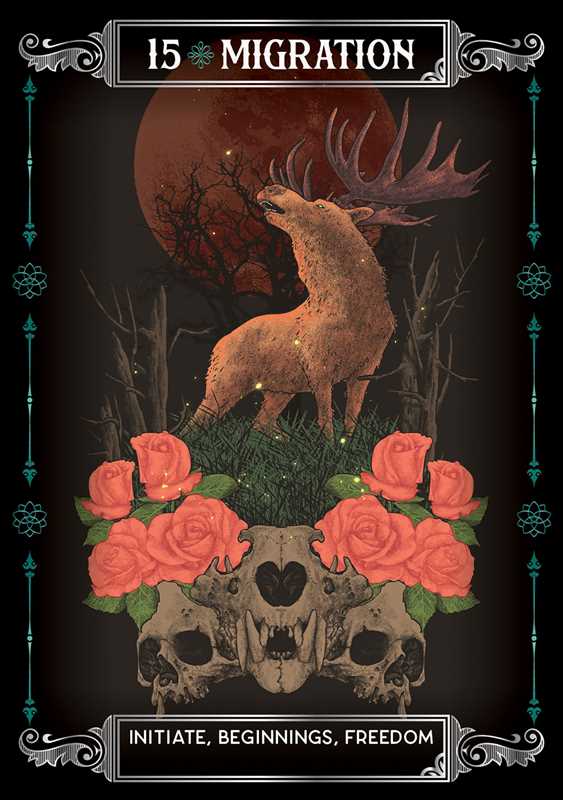 Earth & Bone Oracle by Sirian Shadow - Angel's House of Design Co.
