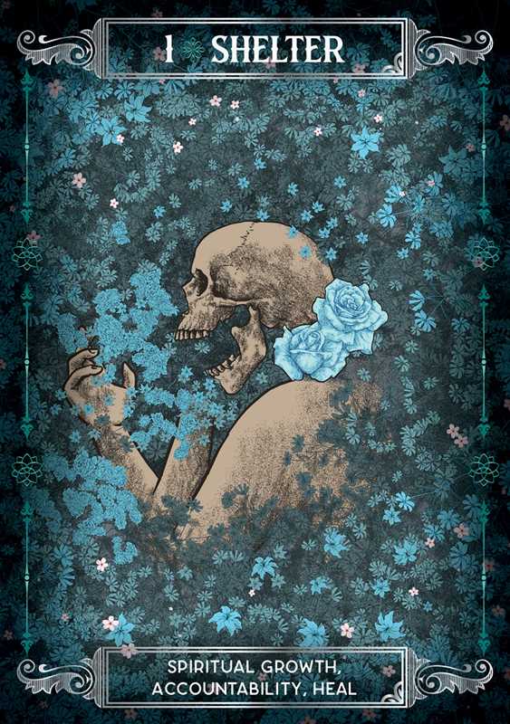 Earth & Bone Oracle by Sirian Shadow - Angel's House of Design Co.