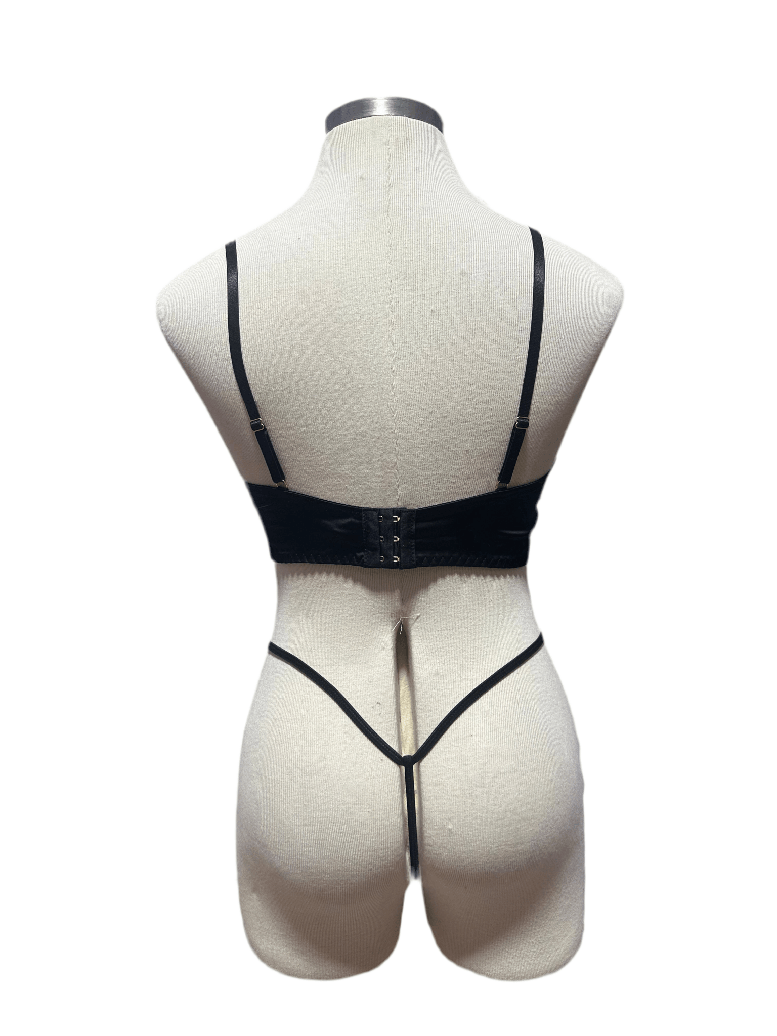 Kiss of the Nightwing Girdle, Bra & Thong set Plus Size - Angel's House of Design Co.