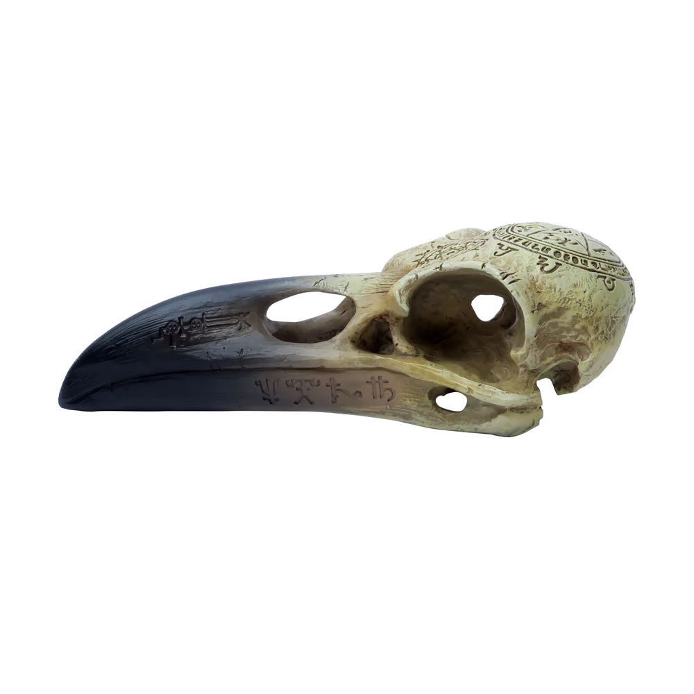 Omega Raven Skull - Angel's House of Design Co.