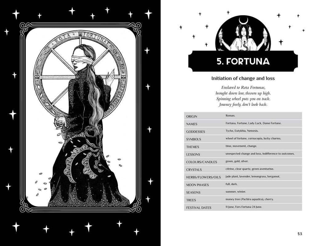 Reclaim your Dark Goddess by Flavia Kate Peters - Angel's House of Design Co.