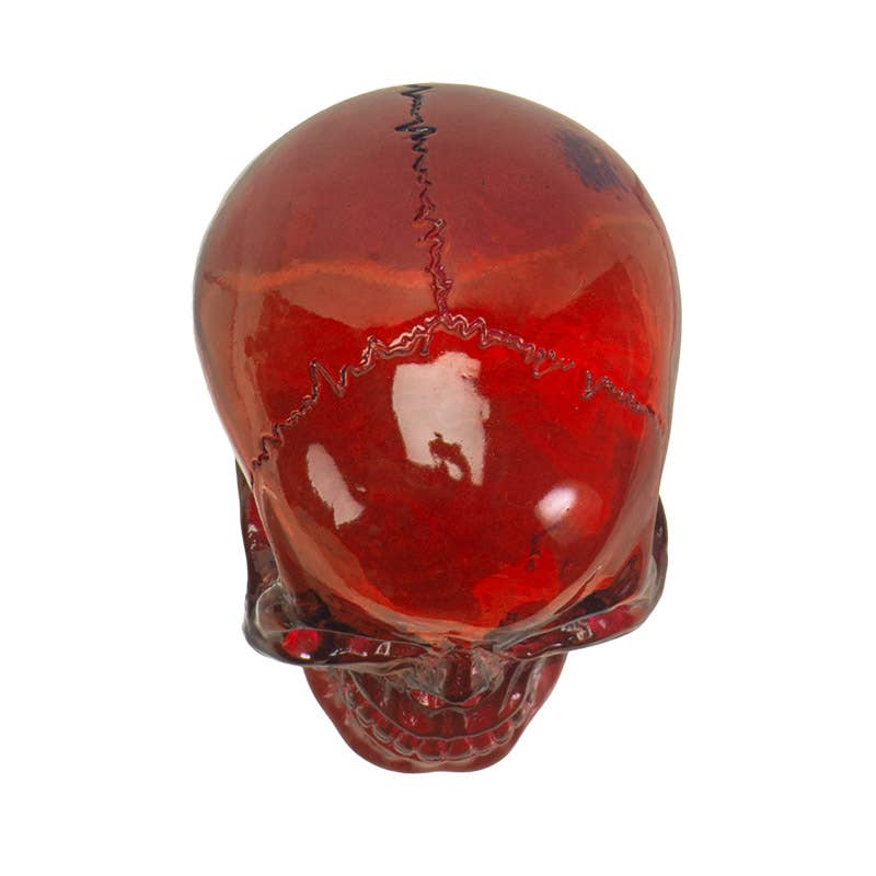 Red Translucent Skull - Angel's House of Design Co.