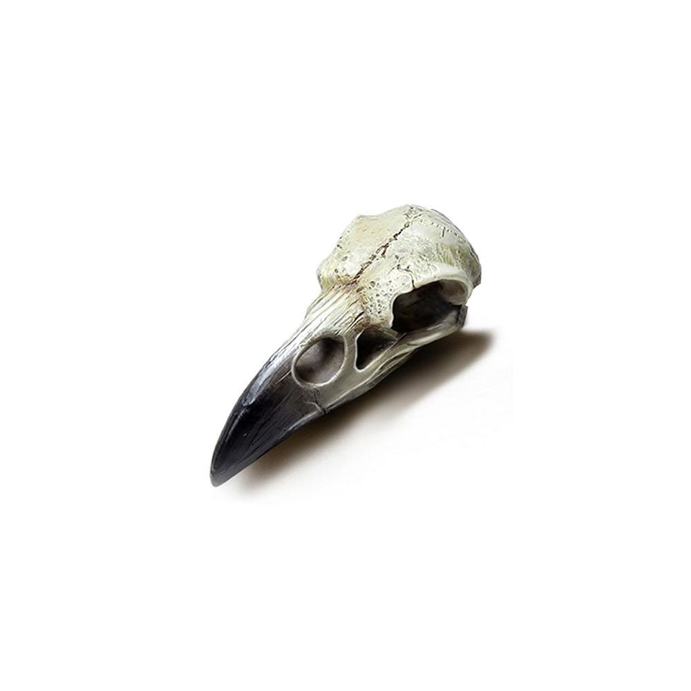 Reliquary Raven Skull - Angel's House of Design Co.