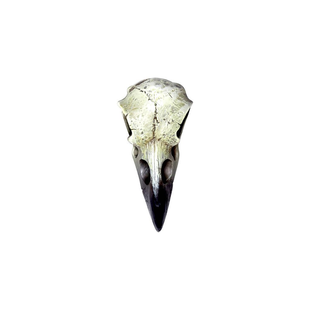 Reliquary Raven Skull - Angel's House of Design Co.