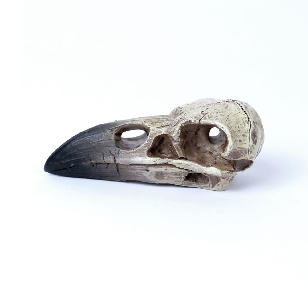 Reliquary Raven Skull - Angel's House of Design Co.