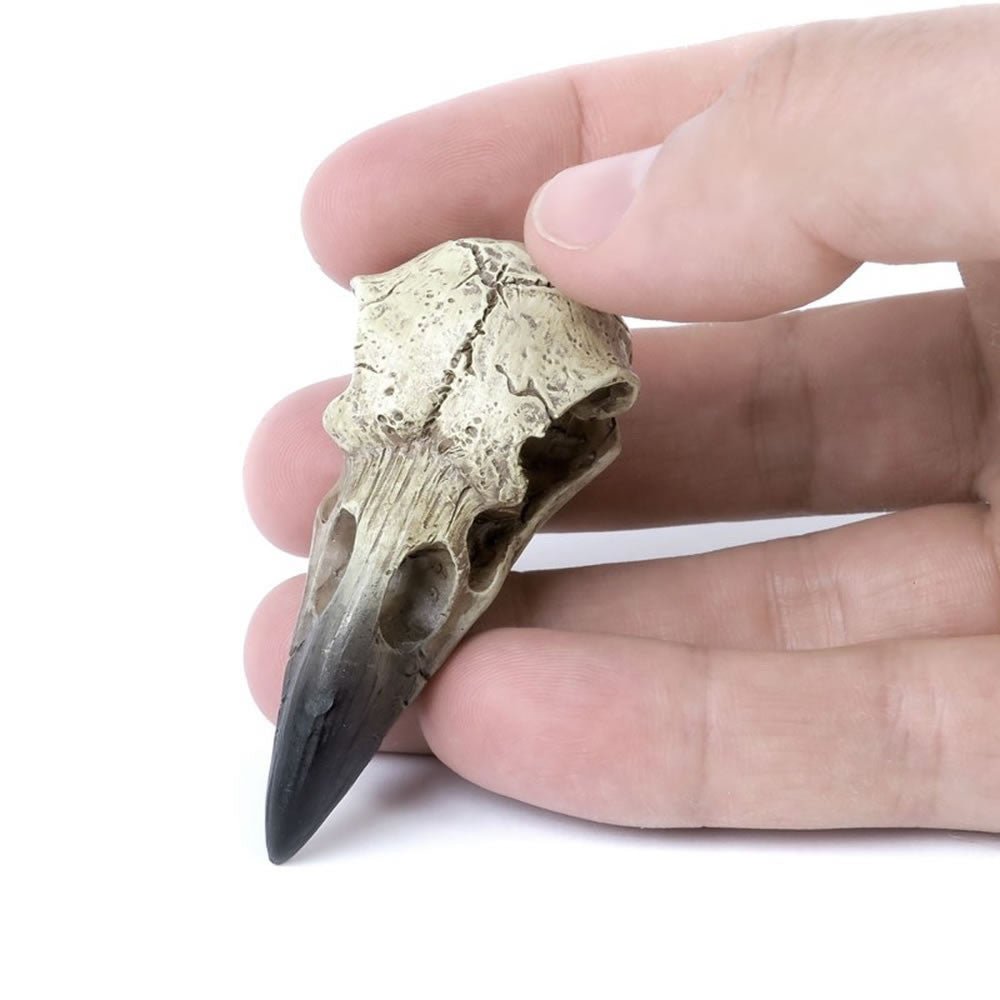 Reliquary Raven Skull - Angel's House of Design Co.