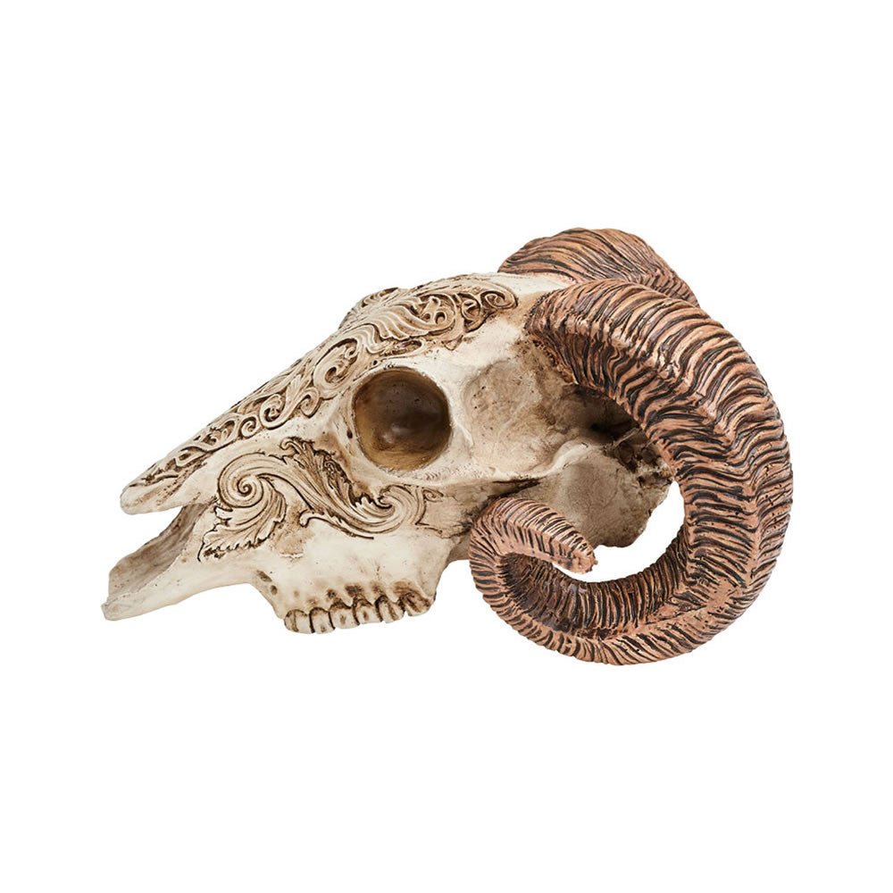 Scrimshaw Ram Skull - Angel's House of Design Co.