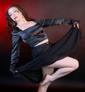 Semi Sheer Tulle Skirt - Angel's House of Design Co.