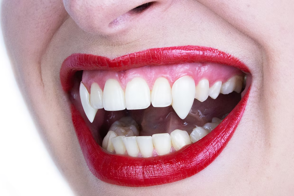 Scarecrow Brand Small Sexy Deluxe Vampire Fangs - Angel's House of Design Co.