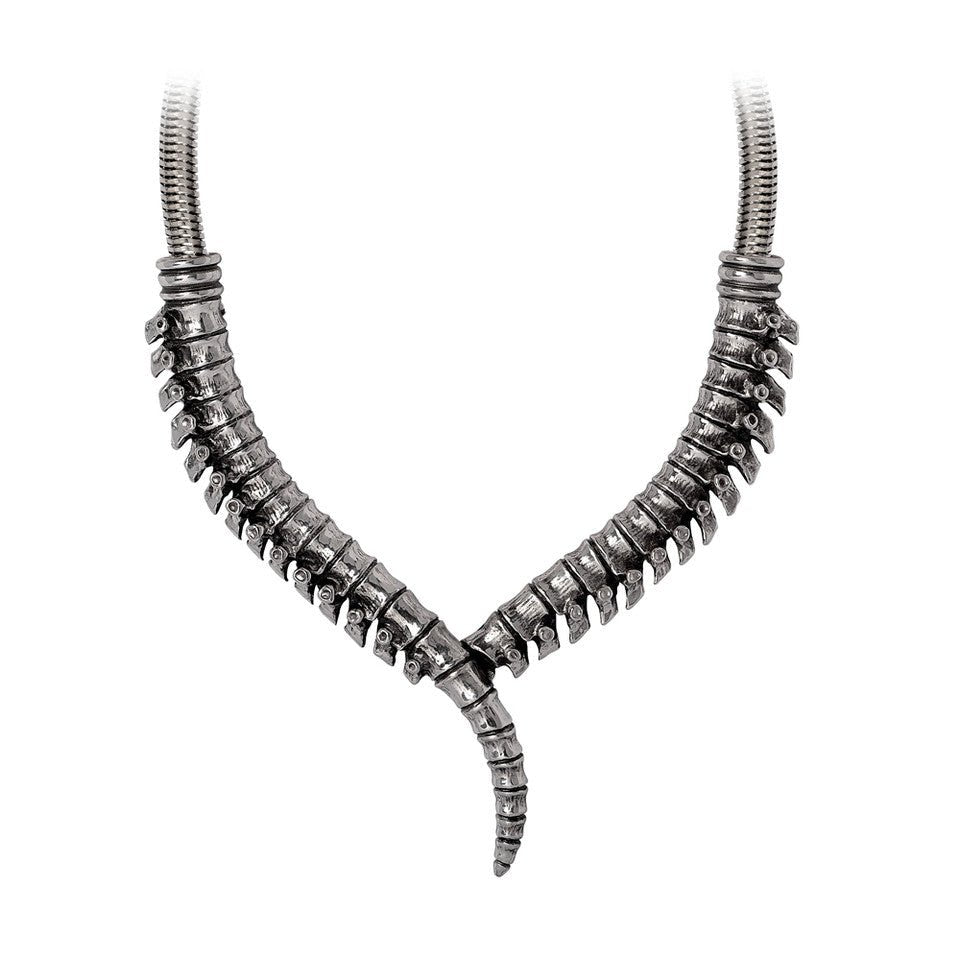 Thoracic Collar Necklace - Angel's House of Design Co.